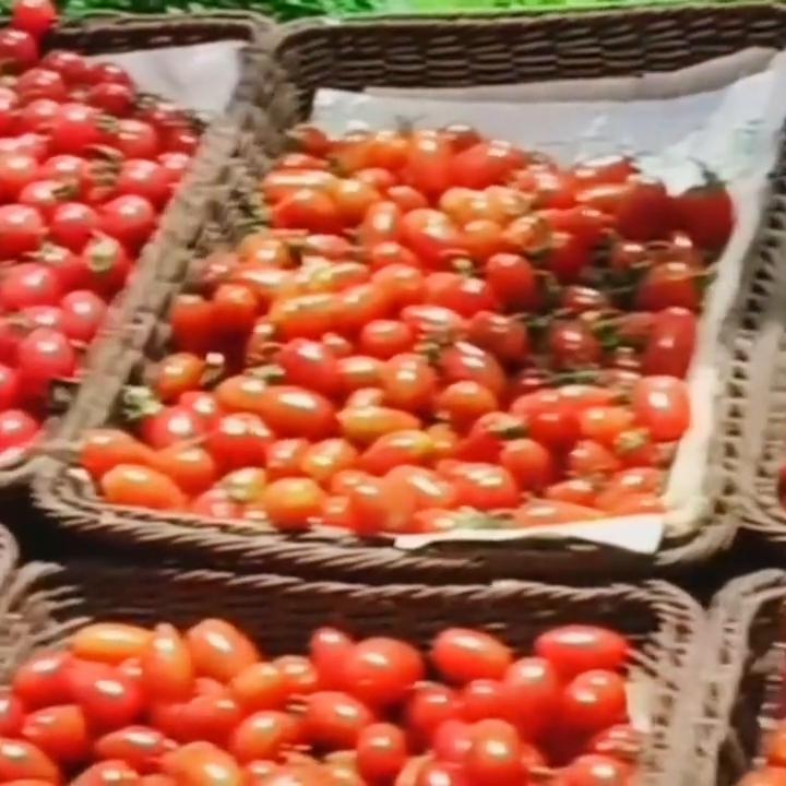 朋友去俄罗斯应该让他带啥,朋友出去必须要干点什么