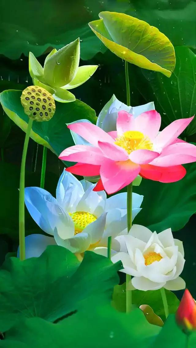 春树的人生格言书籍,人生书籍里的经典语录大全