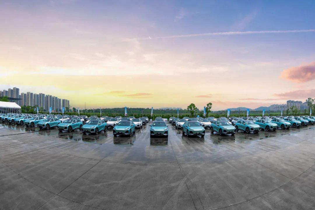 深蓝要让“平权理念”更深入人心