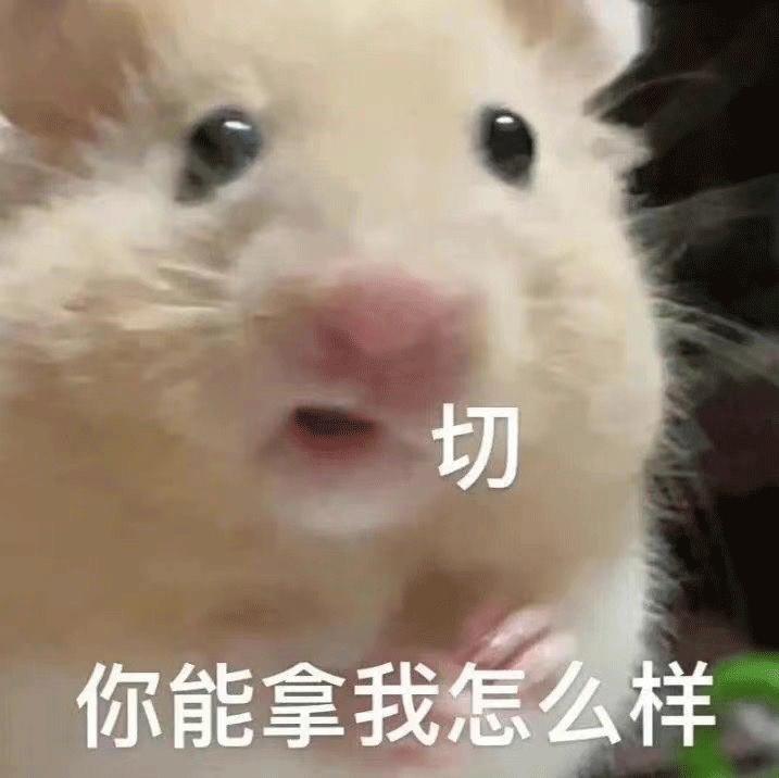 女生18岁成年可爱表情包,可爱表情包我有一套