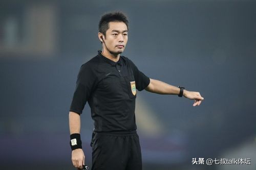 两连败后谢晖怒斥足协,高洪波谢晖出局