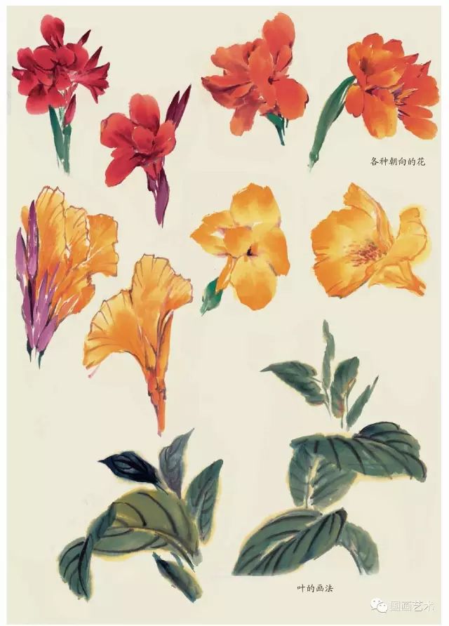 写意丁香花画法,写意鸡冠花的画法教程