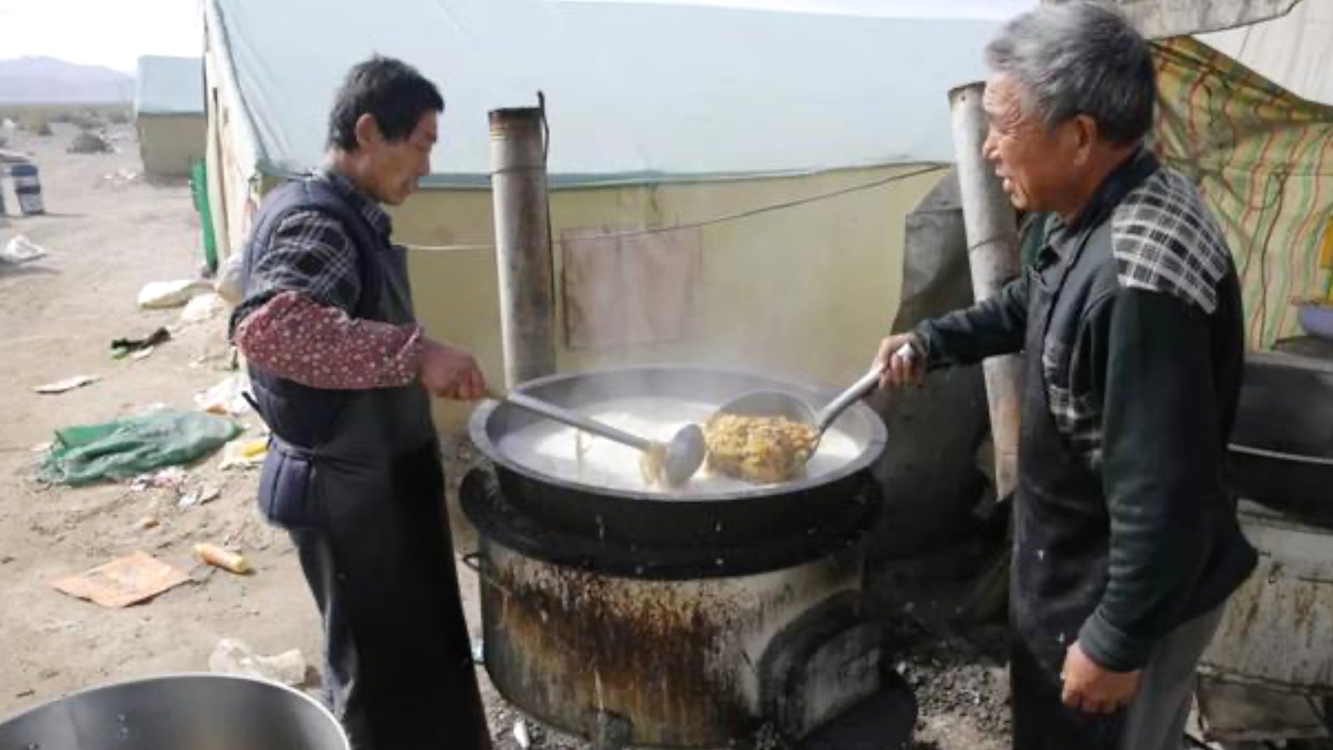 青海诺木洪枸杞今年什么时候摘,青海诺木洪枸杞采摘