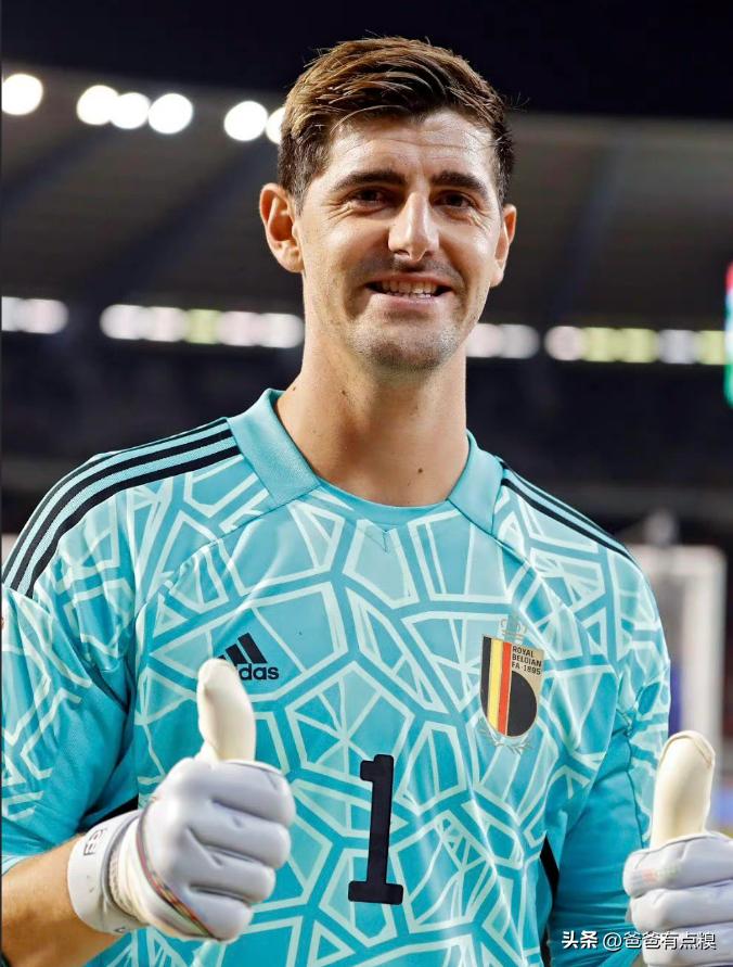 足球赛场上的传奇,比利时足球队辉煌时刻