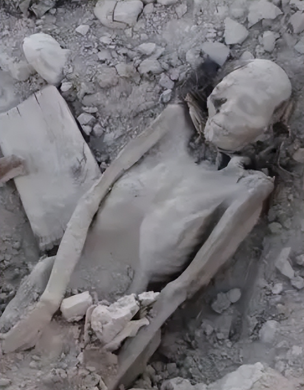 罗布泊神秘干尸案,1960年罗布泊发现干尸