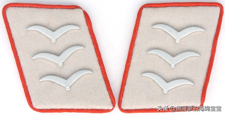 二战德国将军军衔图案,二战德国突击队队长军衔