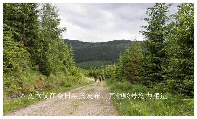 iphone11ios15.3续航,ios16.6.1续航