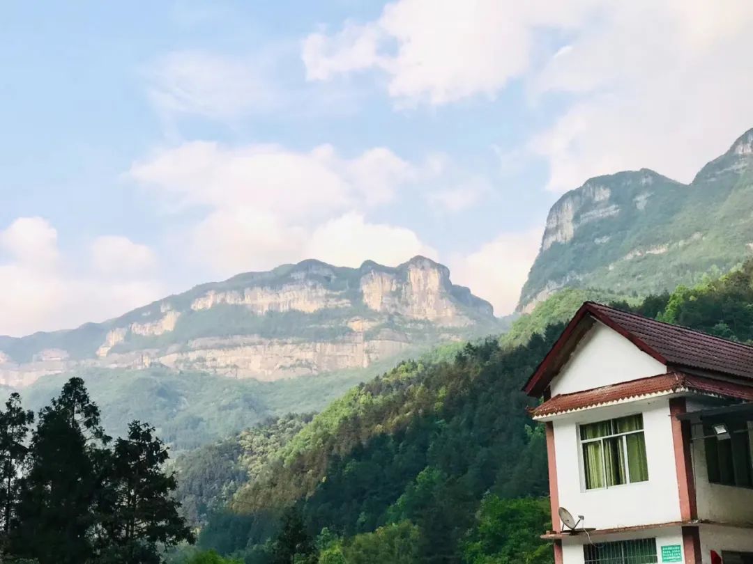 南川区金佛山旅游攻略,南川金佛山一日自驾游攻略