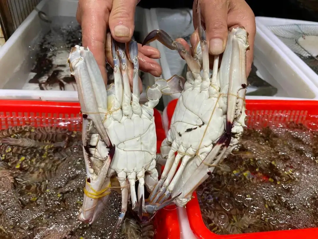 一招学会挑肥美梭子蟹,卖梭子蟹的老板教你挑梭子蟹肥瘦