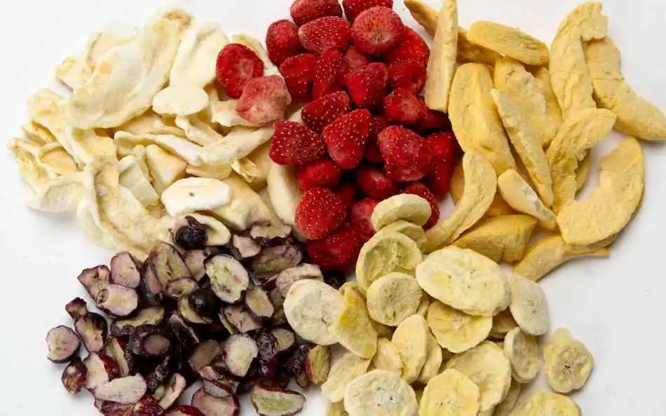 养猫忠告尽量少买华而不实的东西,养猫容易被忽悠买的东西