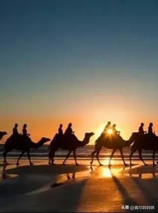 孩子必看十部人文纪录片,值得陪孩子看的30部宝藏纪录片