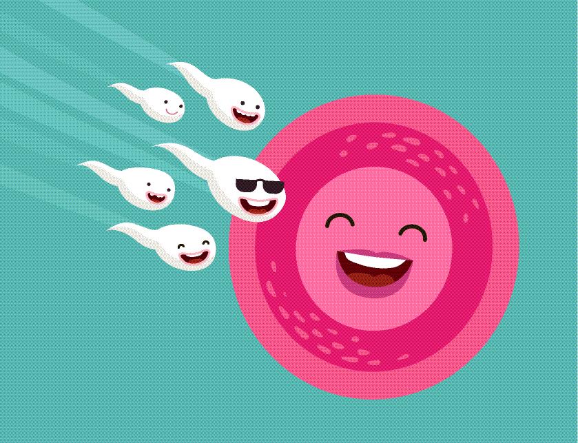 试管小白必看：女性的雌二醇数值达多少pg/mL可以取卵？