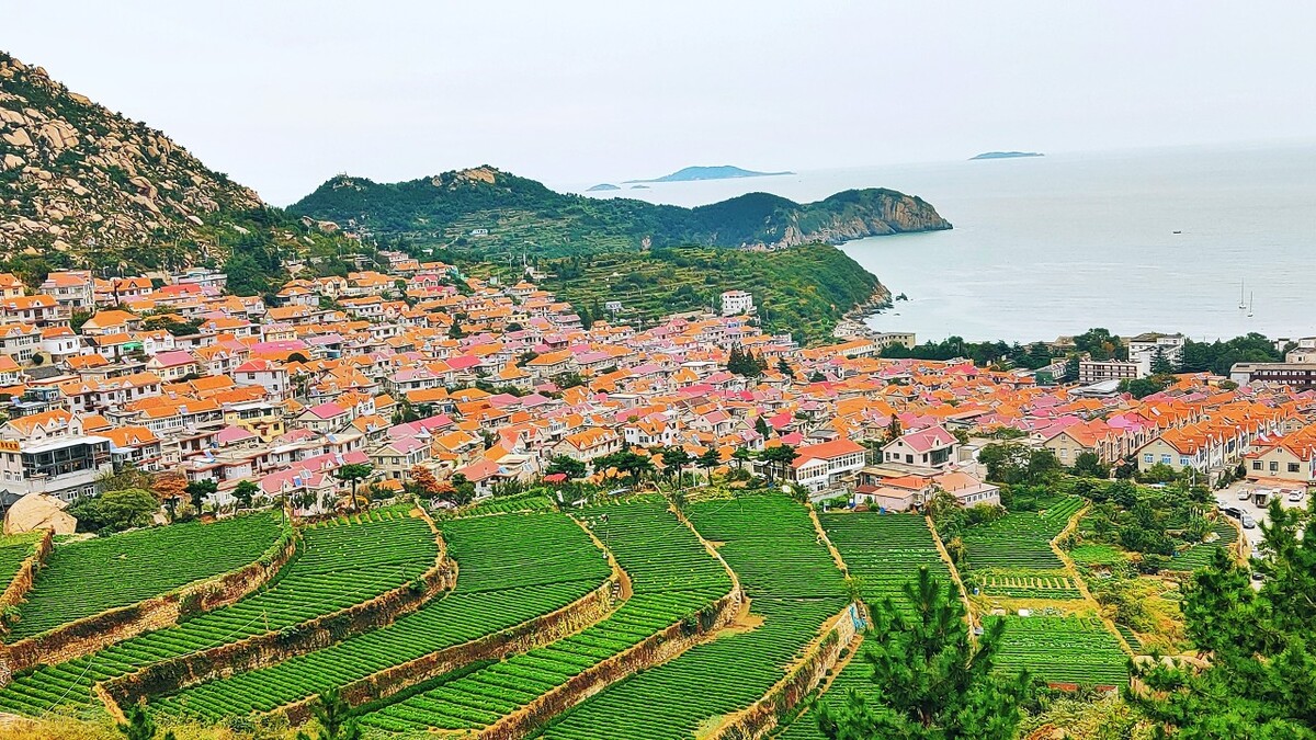 青岛疫情期间哪些景区免费,青岛疫情免费景区