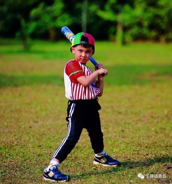 王铎回忆录《一蓑烟雨》219：十四、野性星空：从打棒球到剥白果