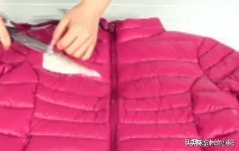 为什么所有动物都怕大鹅,鹅的战斗力到底有多可怕