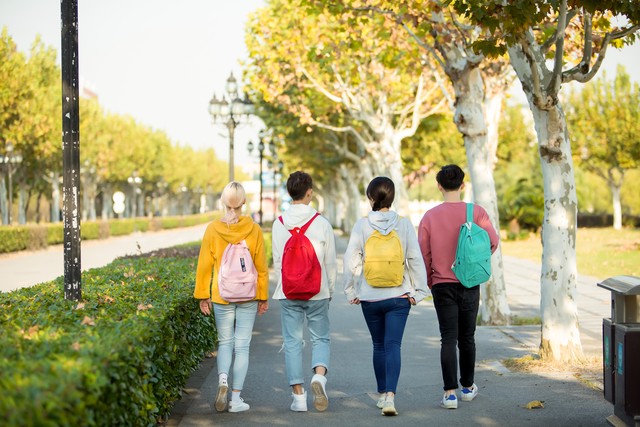十七岁的单车不载爱情