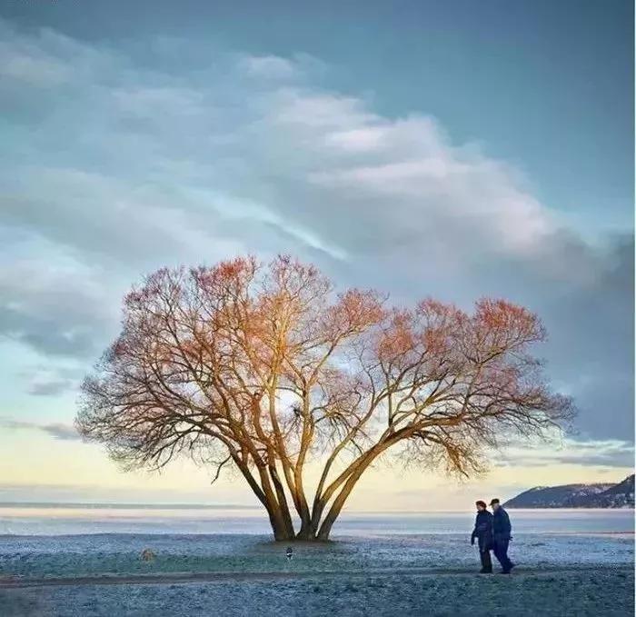 50岁以后最好的活法视频,50岁以后最高级的活法