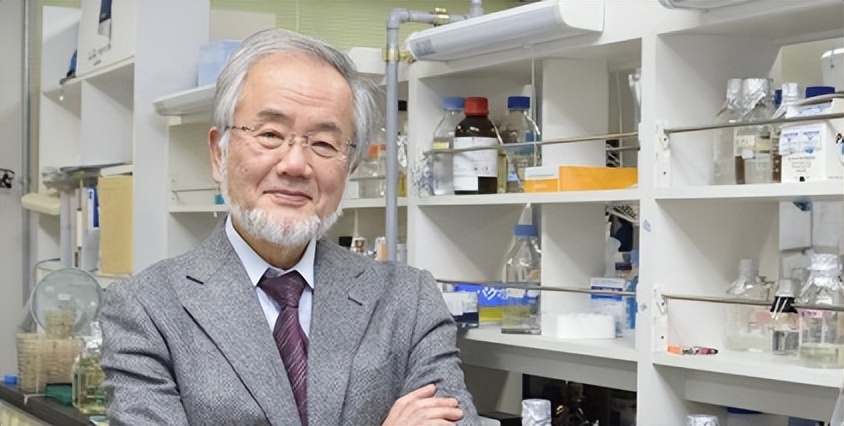 如何看食物的量,认识食物大全