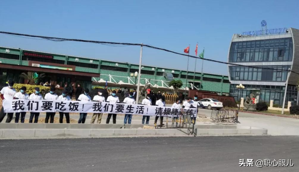 董明珠和王健林投资银隆怎么样,董明珠王健林马云入股银隆