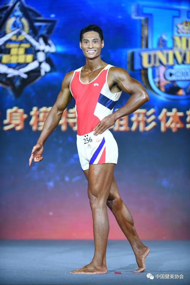 龙腾虎跃大展宏图一鸣惊人,龙腾虎啸凌云志