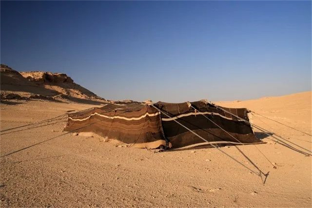 卡塔尔世界杯看球赛,卡塔尔世界杯看什么