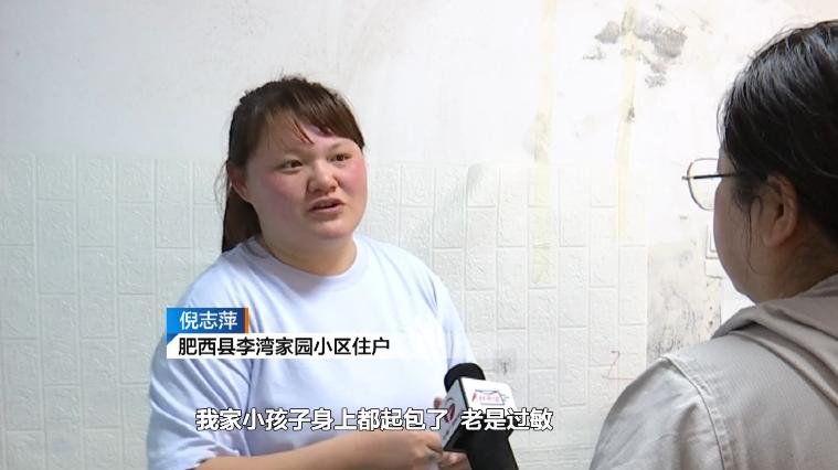 墙面大面积渗水内墙受潮掉皮,墙上渗水发霉掉皮怎么处理