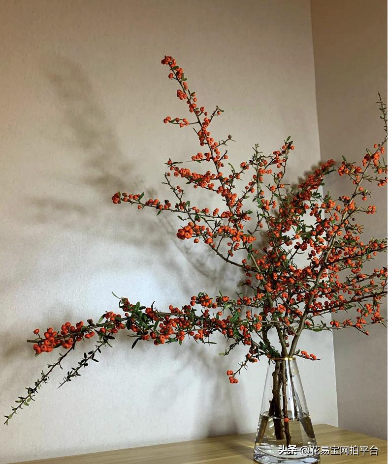 9月份红色好看的花材,颜值高的花束合集