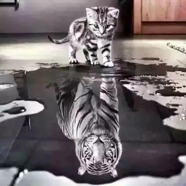 笑话笑到肚子疼句子,100个笑到抽筋笑话句子