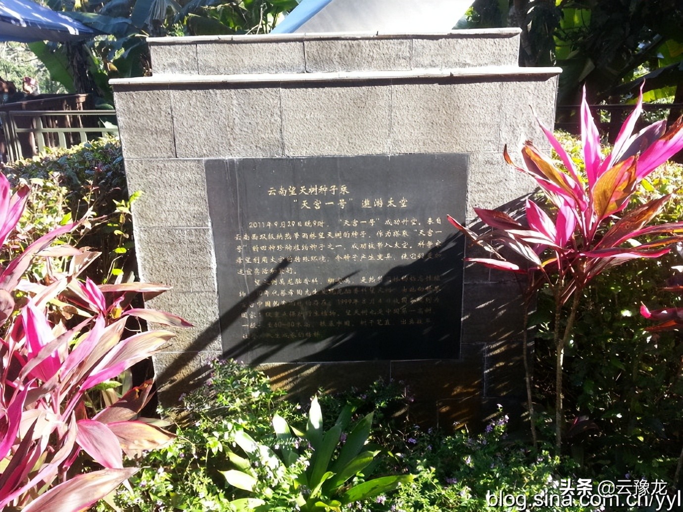 西双版纳磨憨自驾游攻略,自驾游云南版纳旅游攻略