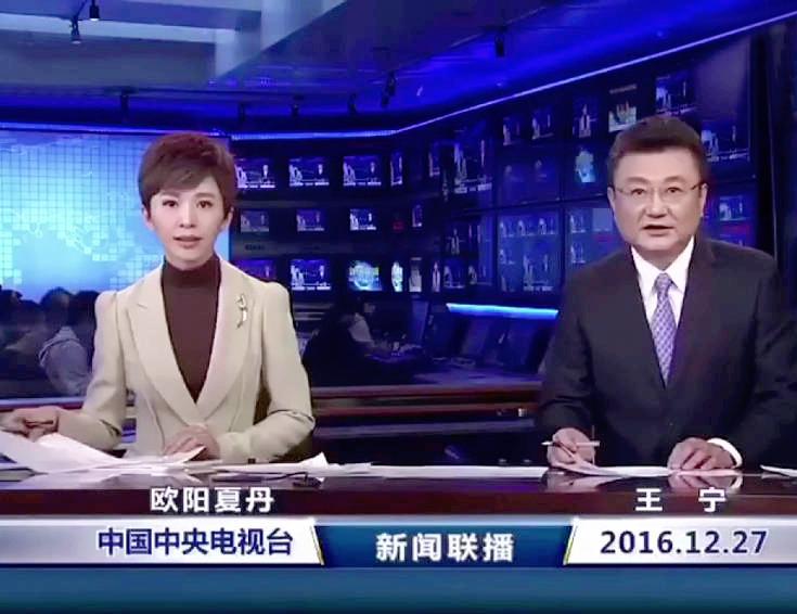 金龟子刘纯燕和王宁回老家,刘纯燕金龟子王宁