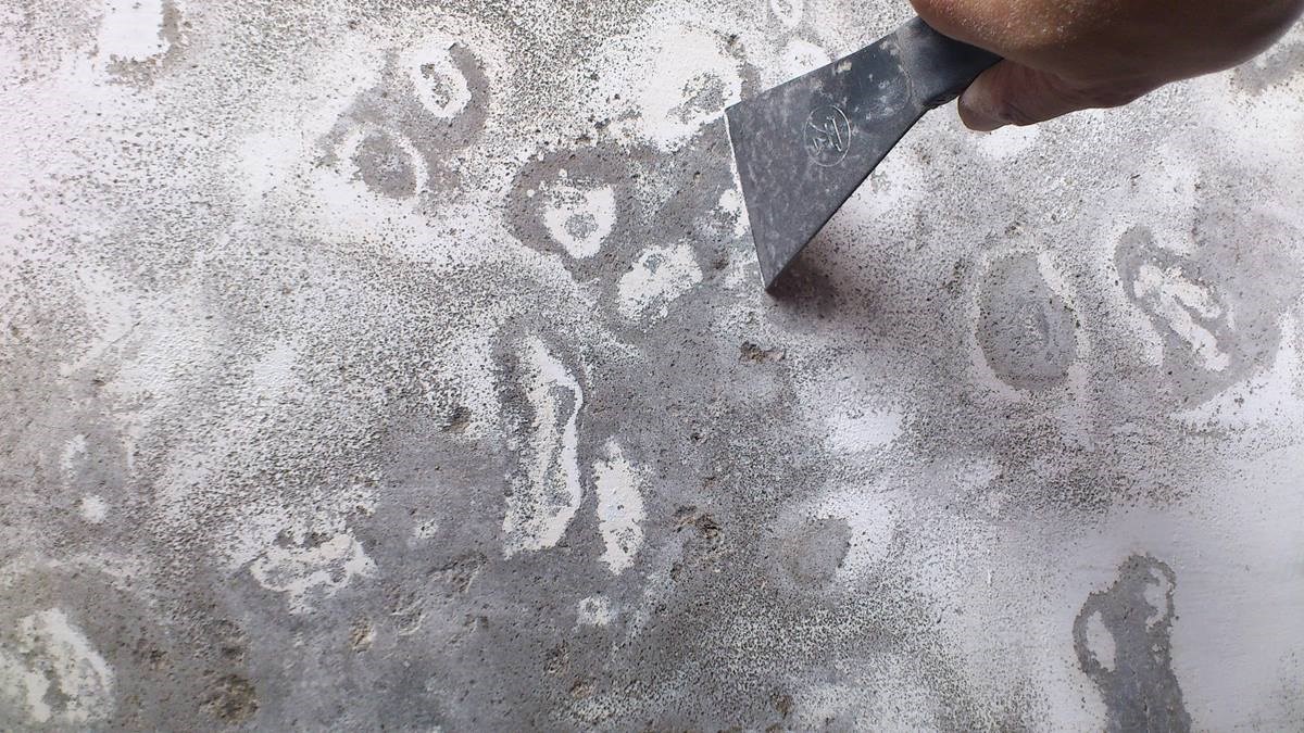 墙壁也有皮肤病!老司机手把手教,DIY处理白华,效果好到哭!