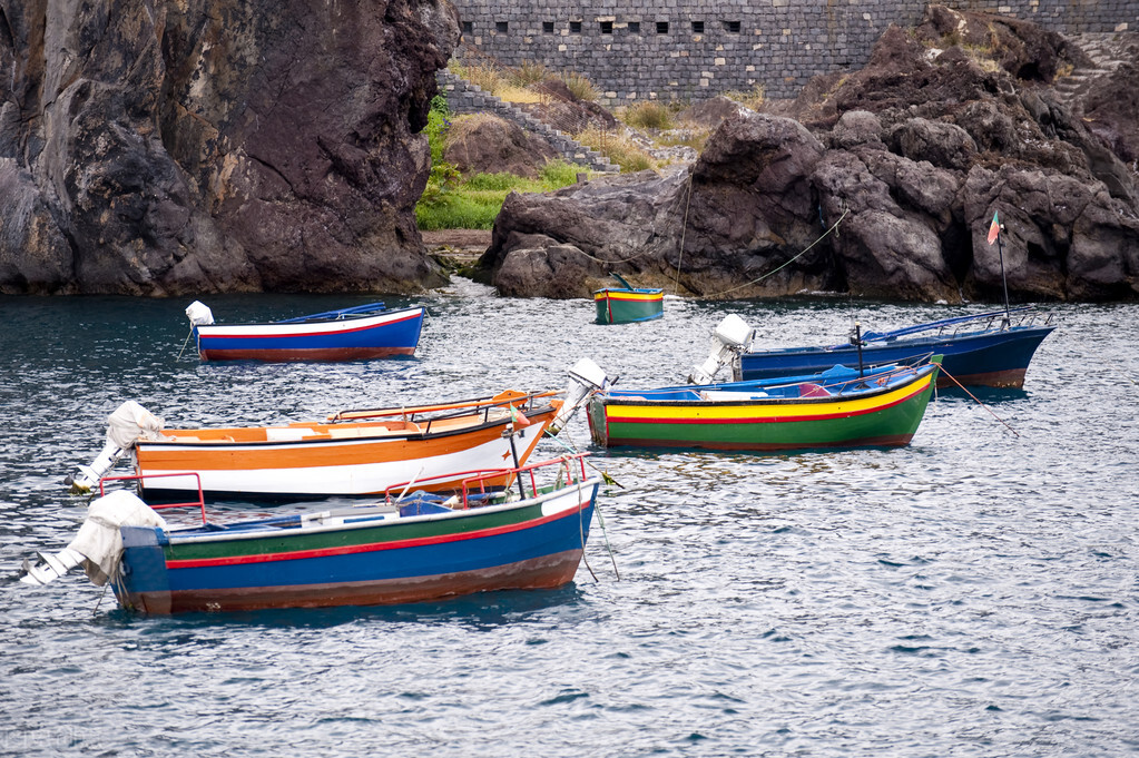 销售脑科学经典案例,销售脑科学解读