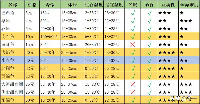 新手养龟的基本知识,入门养龟用什么龟缸