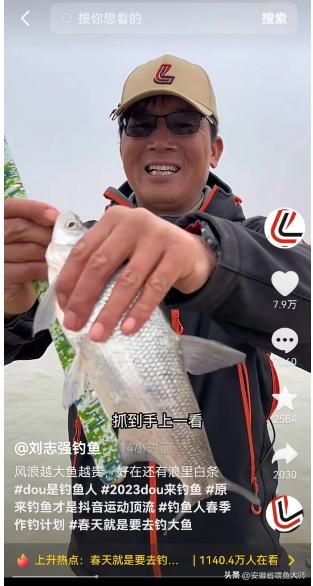 岳阳钓白条，大的有八两，网友:这是白条？这难道不是翘嘴？