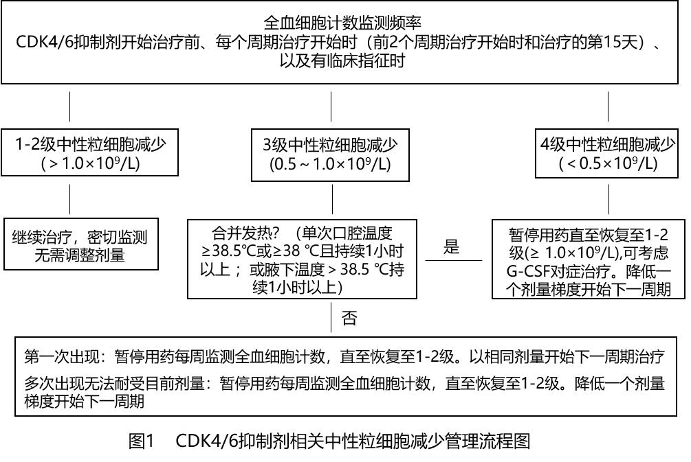 csco乳腺癌诊疗指南2023版,csco2023乳腺癌诊疗指南电子版
