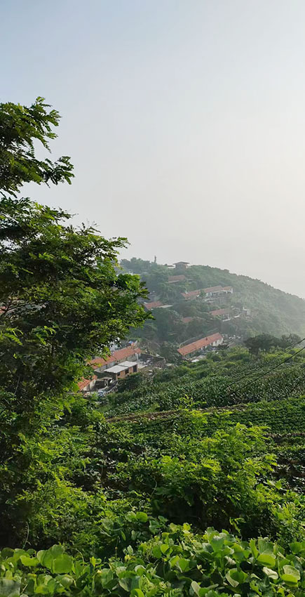夏游山全部视频,夏天去灵山岛好吗