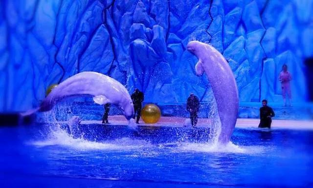 蓝色海景壁纸图片大全,海景壁纸4k超清全面屏