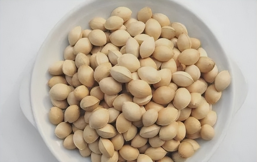 每日一味中药薏苡仁,每日一味中药白扁豆