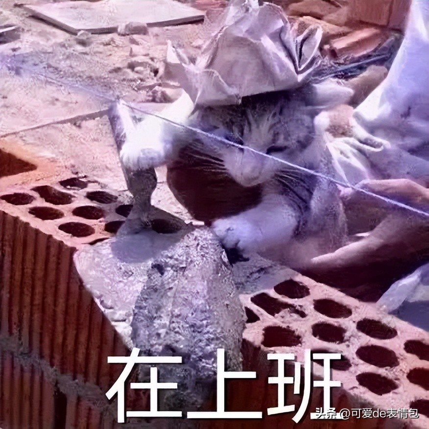 抖音黑人老嫂子搞笑表情包合集