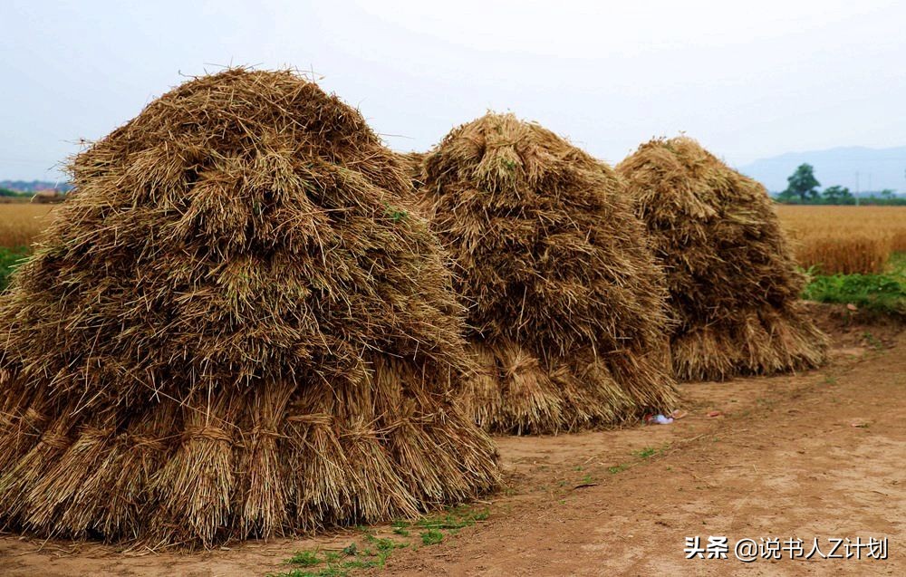 九十年代抓捕悍匪现场,90年代真实抓捕悍匪场面