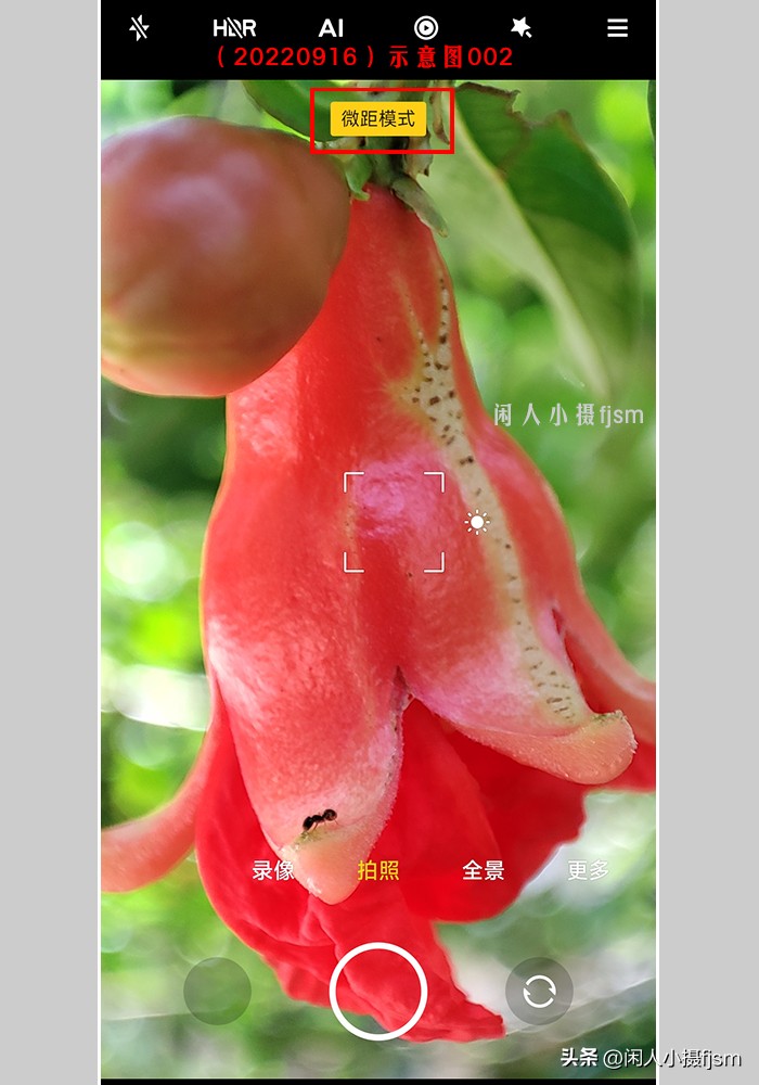 微距摄影就是近距离拍摄微小物体,微距摄影和近距离摄影有区别吗