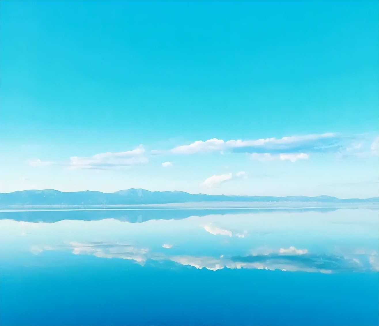 好好看呀！又被这个“颜色”圈粉！色调分析+风格技巧，不愧一绝