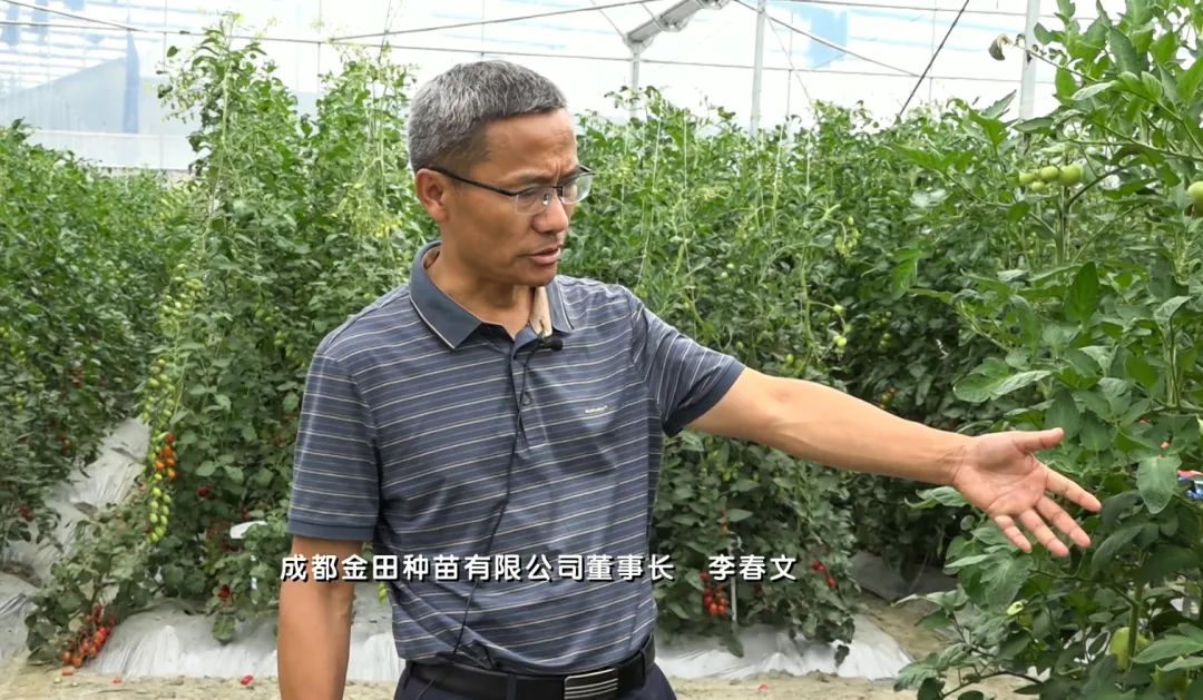 擦亮高原特色农产品名片,擦亮农产品金名片