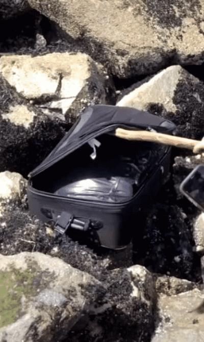 閲忓瓙鍔涘杞欢鎺ㄨ崘,閲忓瓙鍔涘杞欢