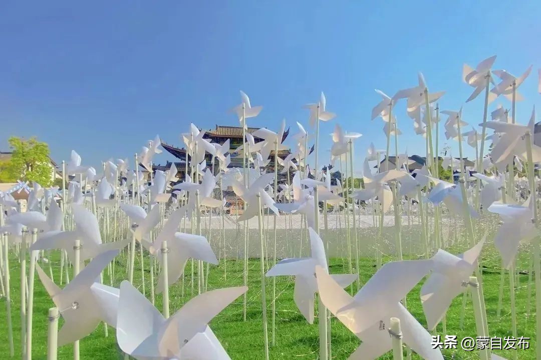 美食、乐队、集市...超多活动精彩来袭！这个“五一”玩转蒙自