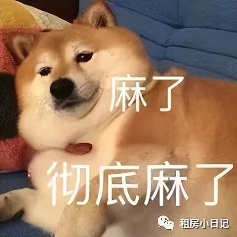 如何在深圳租到廉价房,深圳如何租到合适房