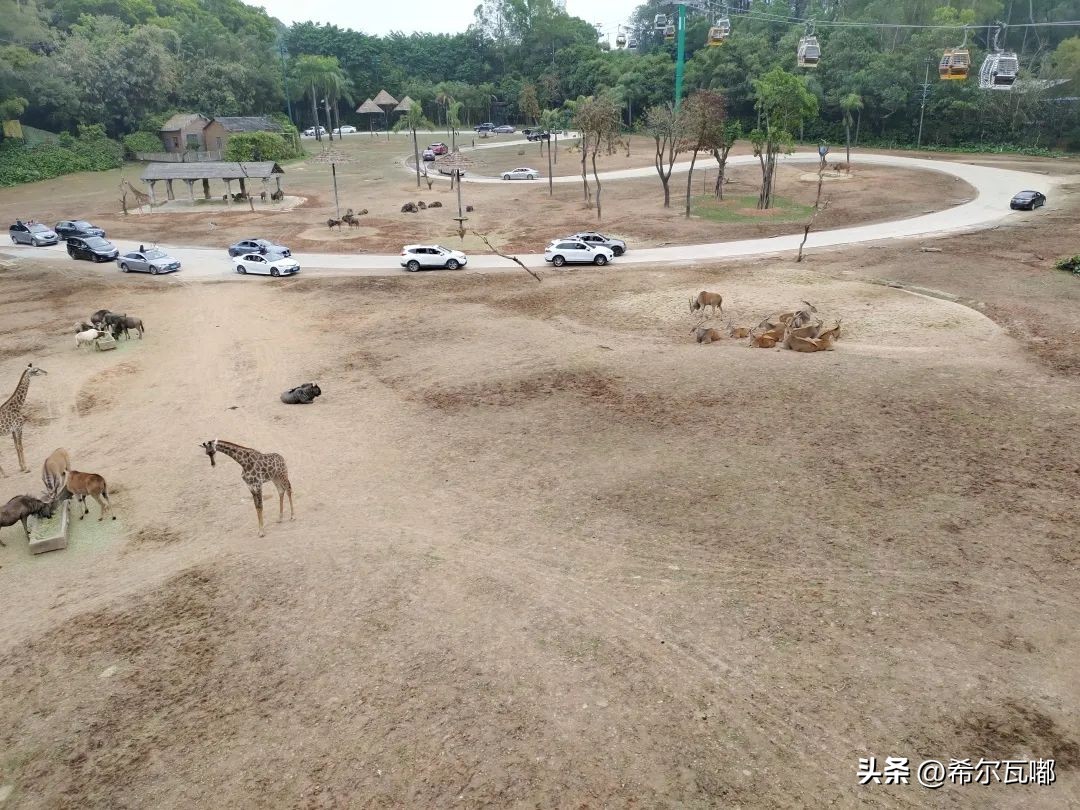 长隆游玩攻略推荐,长隆海洋王国游玩攻略大全视频