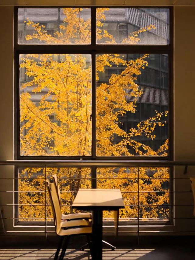 成都高校现在对外开放了吗,成都高校最新消息