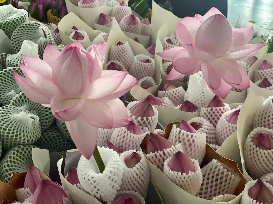 昆明周边四日自由游旅游最佳景点,云南昆明旅游必去十大景点推荐