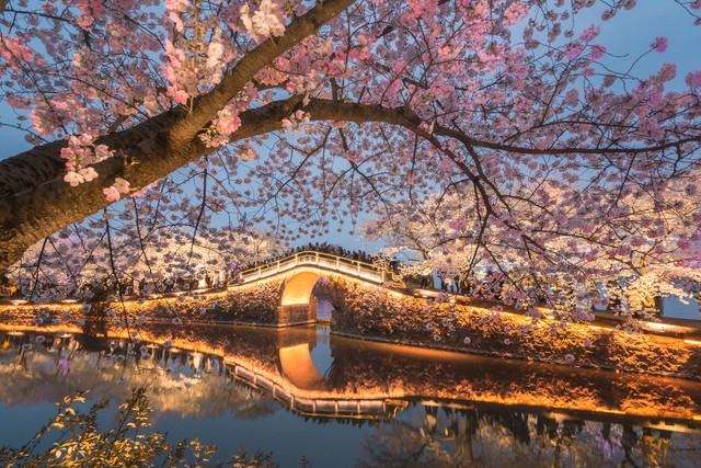 江苏旅游必去十大景点攻略,江苏旅游必去十大景点旅游攻略